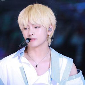 Meet your Posher, Diana